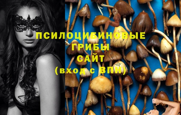 2c-b Белоозёрский