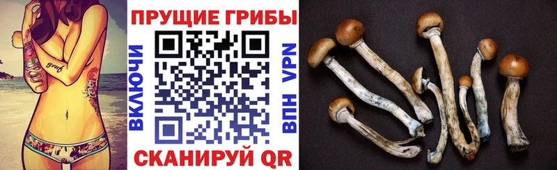 купить   MEGA   Галлюциногенные грибы прущие грибы  Реутов 